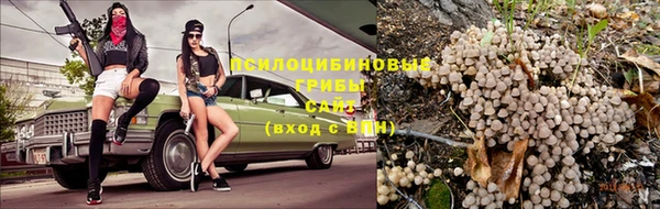 соль ск Алексеевка