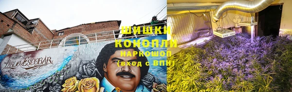 спайс Алексин