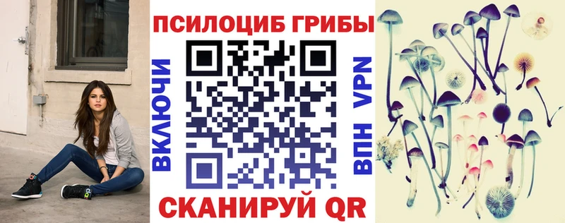 Псилоцибиновые грибы GOLDEN TEACHER  Черкесск 