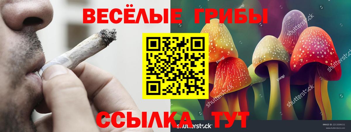 Галлюциногенные грибы GOLDEN TEACHER  Вход с VPN  Черкесск 